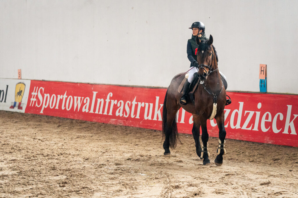 zawody jeździeckie Mazowsze 2026 – Klub Jeździecki Lavio