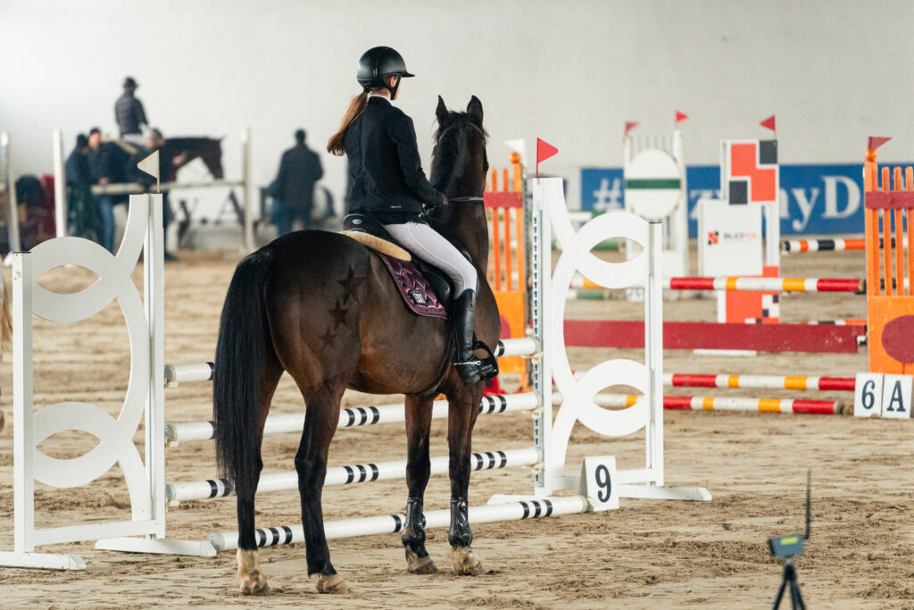 zawody jeździeckie Mazowsze 2026 – Klub Jeździecki Lavio