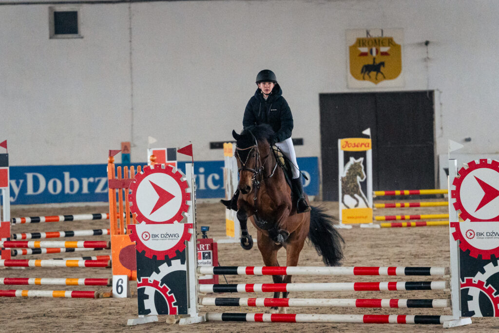 zawody jeździeckie Mazowsze 2026 – Klub Jeździecki Lavio
