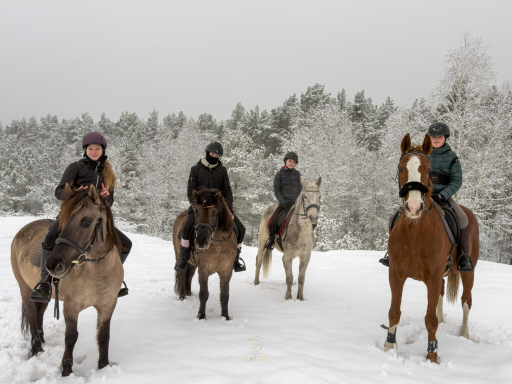 Zimowa jazda konna dla dzieci – Ferie w siodle 2026 Mazowieckie