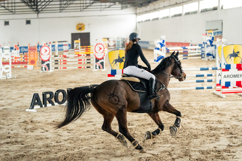 zawody jeździeckie Mazowsze 2026 – Klub Jeździecki Lavio