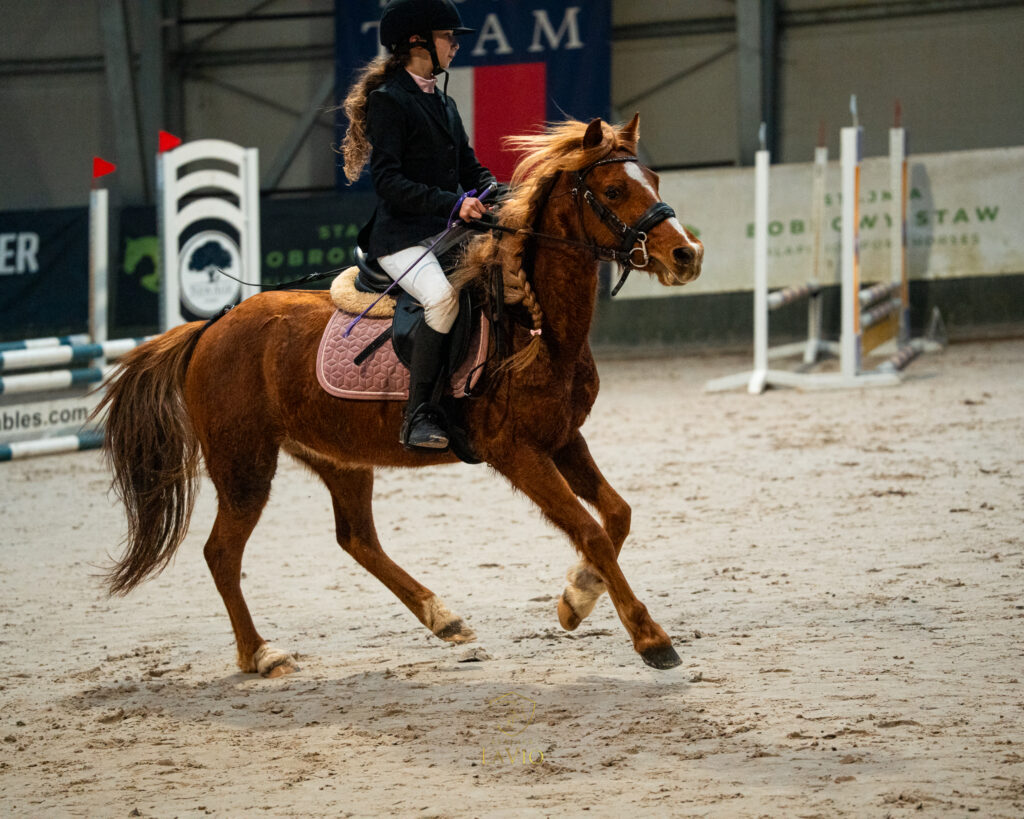 HPWiM Kuców i Amatorów 2026 – zawodnicy Fundacji Stajnia Lavio w Bobrowym Stawie