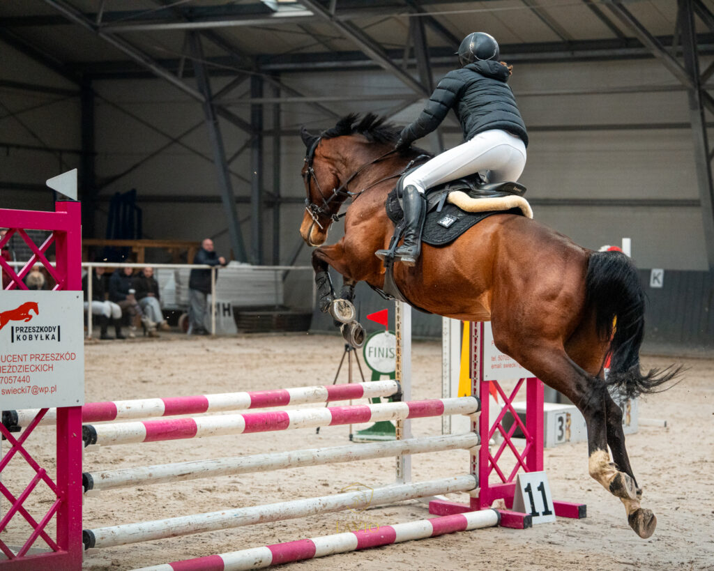 HPWiM Kuców i Amatorów 2026 – zawodnicy Fundacji Stajnia Lavio w Bobrowym Stawie